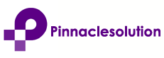 pinnaclesolution.in